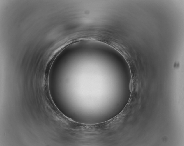 X0000092080338200709191229