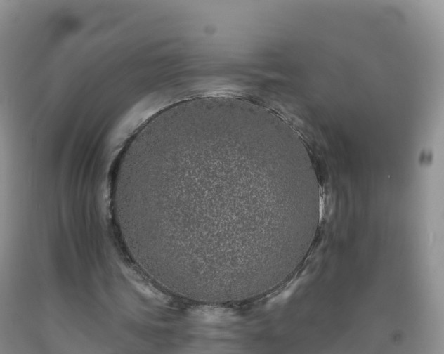 X0000092080339200709191229