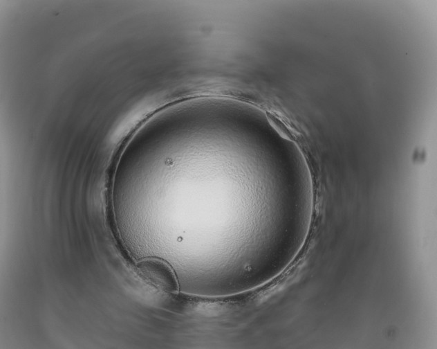 X0000092080341200709191229