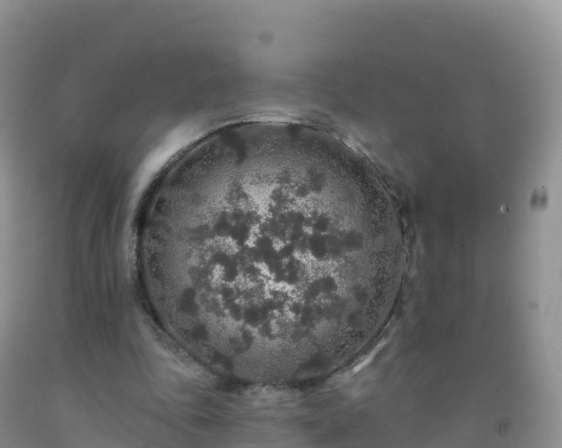 X0000092080343200709191229