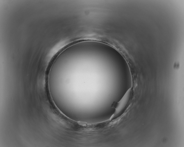 X0000092080344200709191229