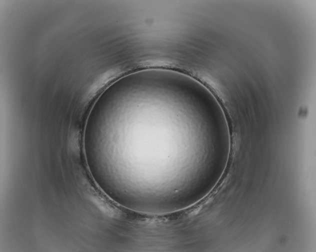 X0000092080345200709191229