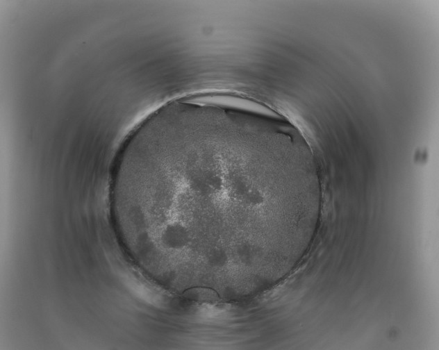 X0000092080346200709191229