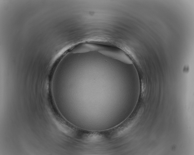 X0000092080348200709191229