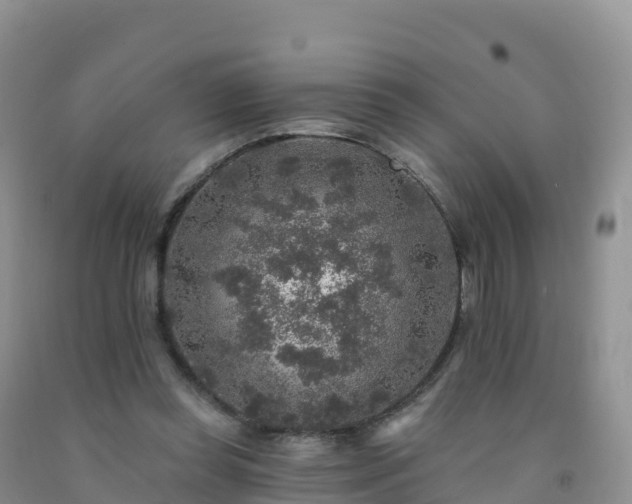 X0000092080349200709191229
