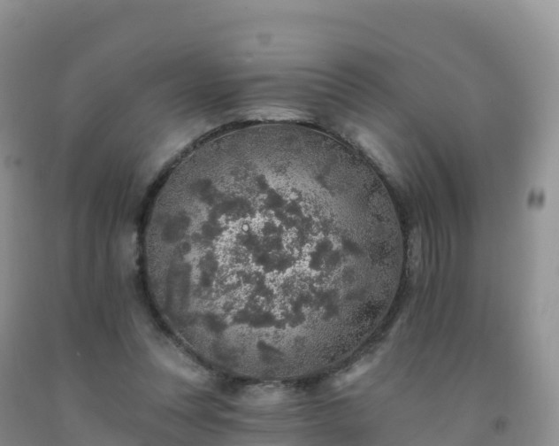 X0000092080351200709191229