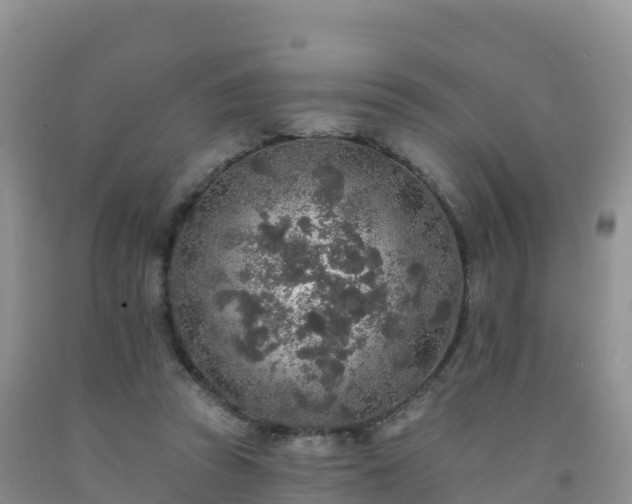 X0000092080353200709191229