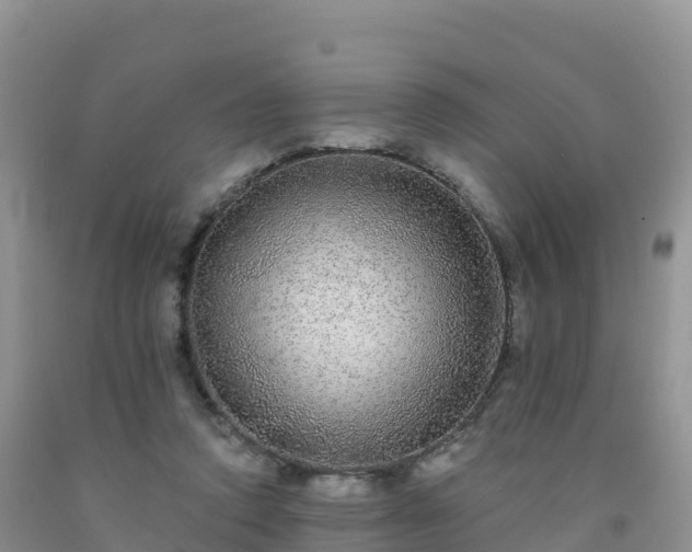 X0000092080354200709191229