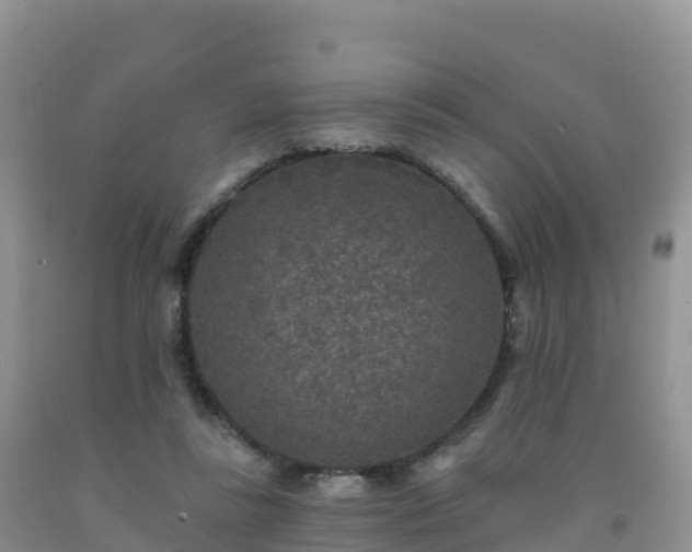 X0000092080355200709191229