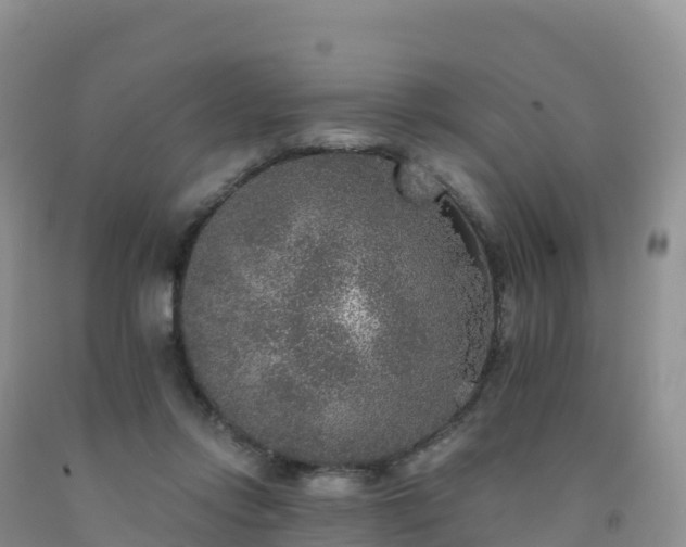 X0000092080358200709191229