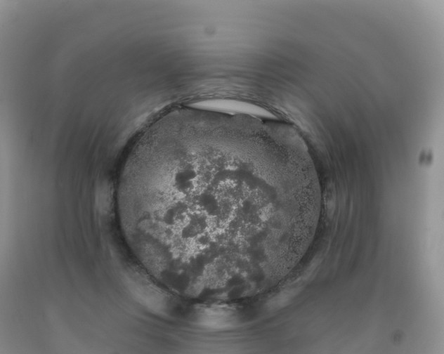 X0000092080359200709191229