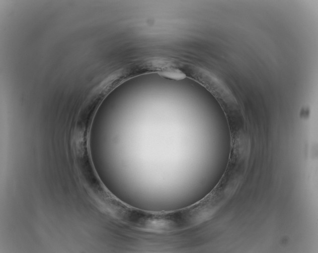X0000092080360200709191229