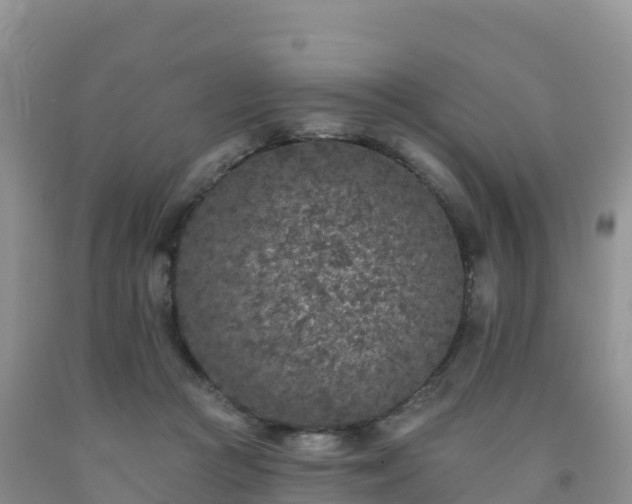 X0000092080361200709191229