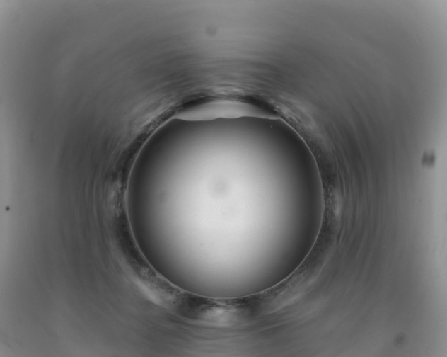 X0000092080364200709191229