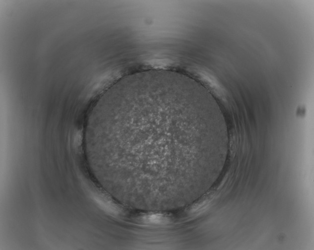 X0000092080365200709191229