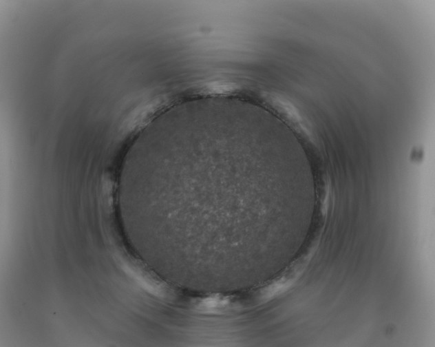 X0000092080366200709191229