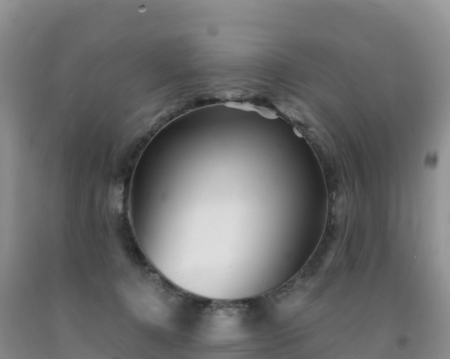 X0000092080368200709191230