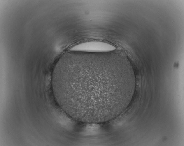 X0000092080369200709191230