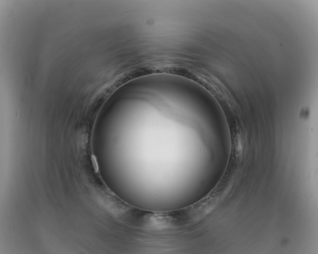 X0000092080372200709191230