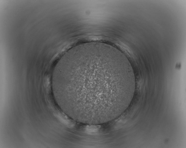 X0000092080373200709191230