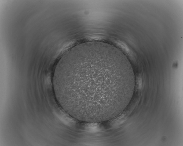 X0000092080377200709191230