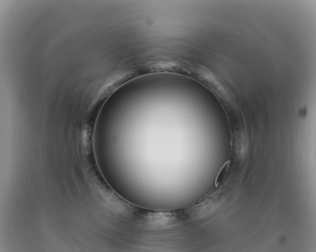 X0000092080378200709191230