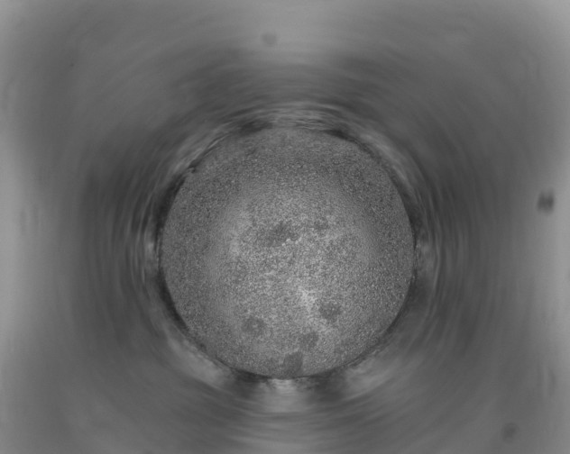 X0000092080381200709191230