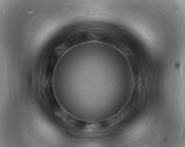 X0000092080382200709191230