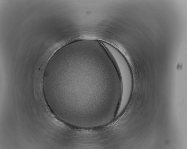 X0000092080385200709191229