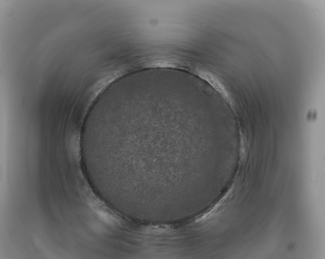 X0000092080386200709191229