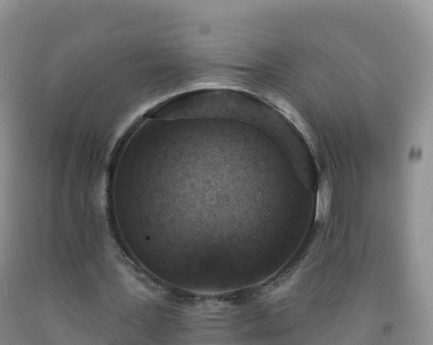 X0000092080387200709191229