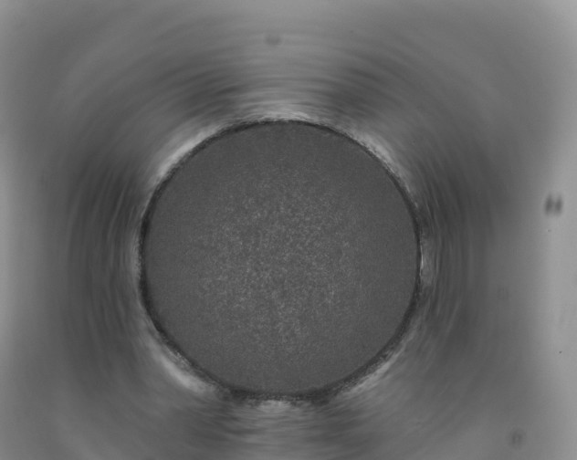 X0000092080390200709191229