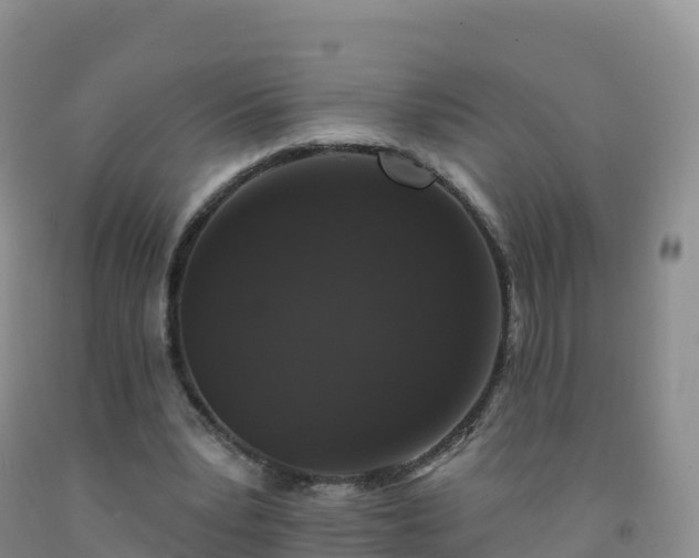X0000092080391200709191229