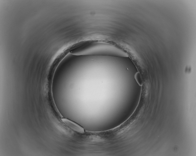 X0000092080392200709191229