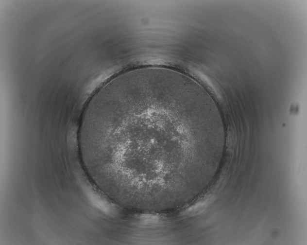 X0000092080394200709191229
