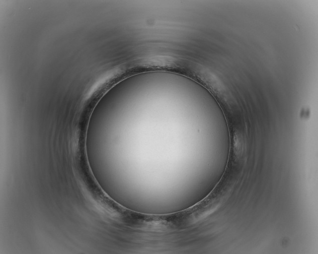 X0000092080396200709191229