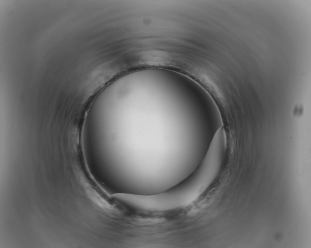 X0000092080397200709191229
