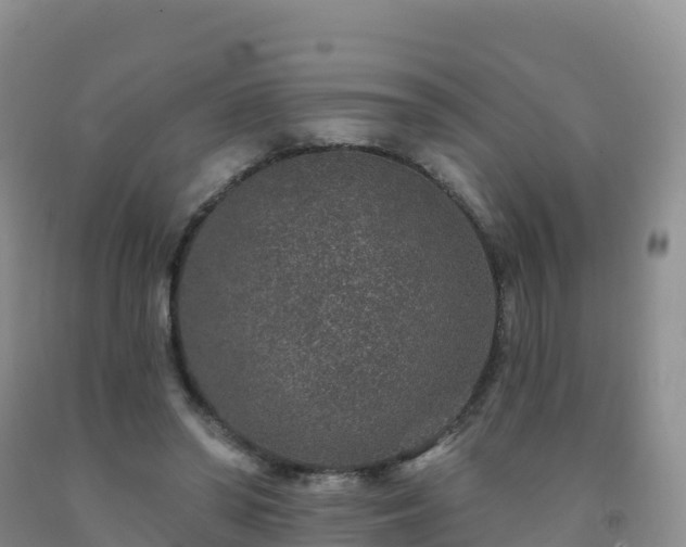X0000092080398200709191229