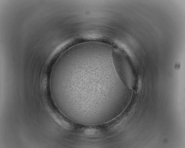 X0000092080400200709191229