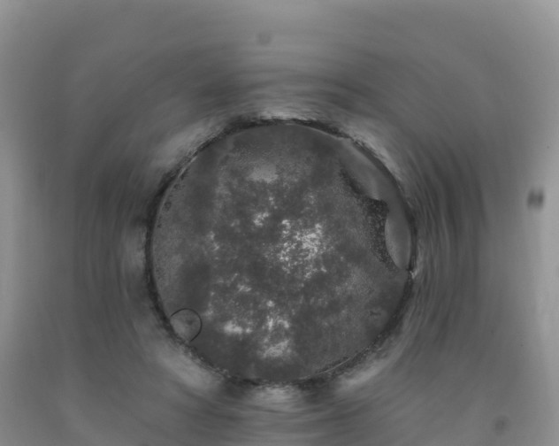 X0000092080402200709191229