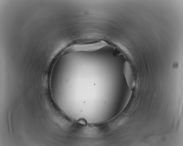 X0000092080403200709191229