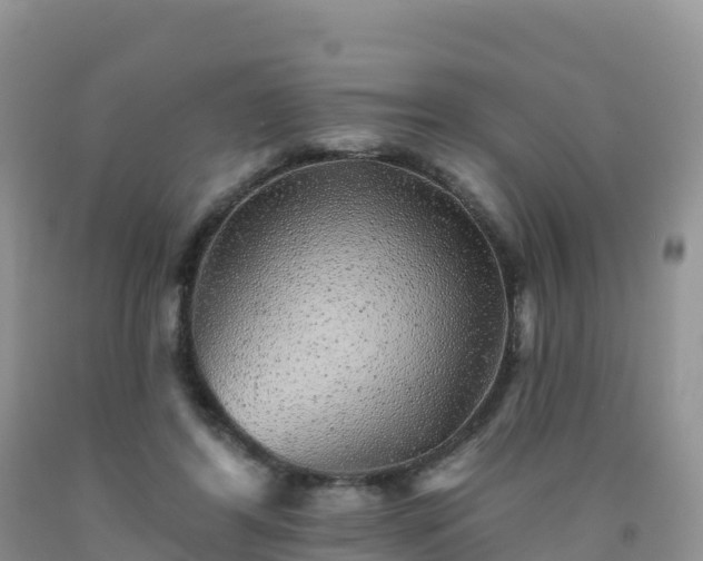 X0000092080404200709191229