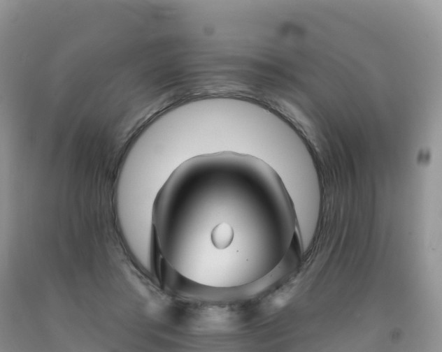 X0000092080405200709191229