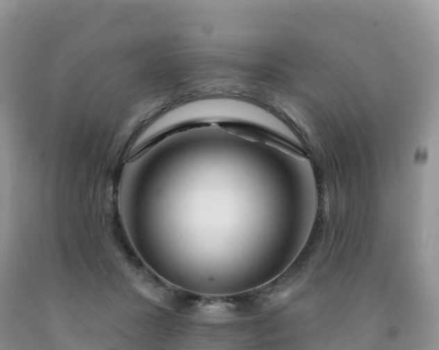 X0000092080407200709191229