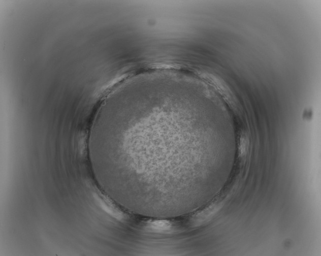 X0000092080409200709191229