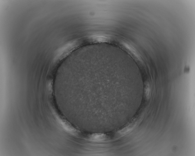 X0000092080410200709191229