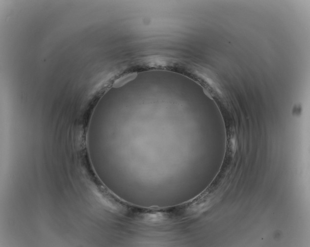 X0000092080411200709191229