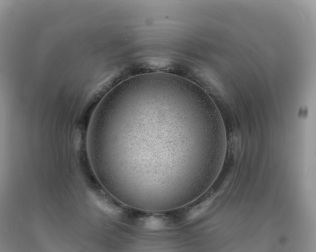 X0000092080412200709191229