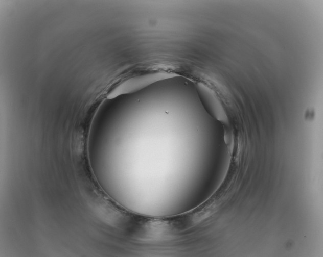 X0000092080413200709191229