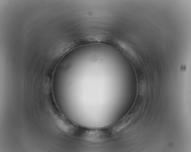 X0000092080414200709191229